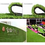 Artificial Grass Carpet, Synthetic Grass