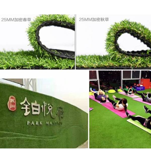Artificial Grass Carpet, Synthetic Grass