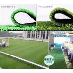 Artificial Grass Carpet, Synthetic Grass