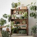 Shelves & Storages