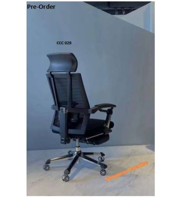 Director Chair