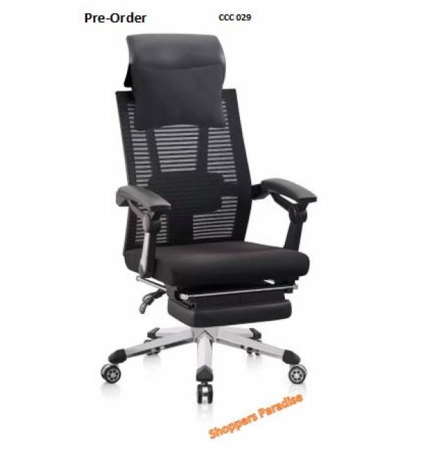 Director Chair