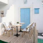 Dining Chairs