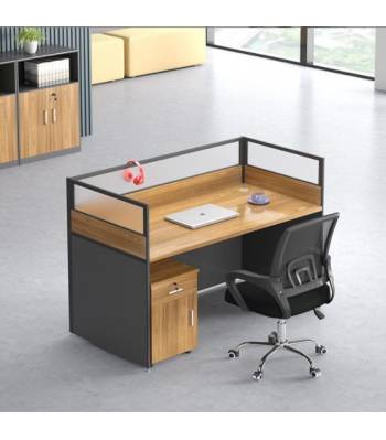 H101 Workstations  With Divider
