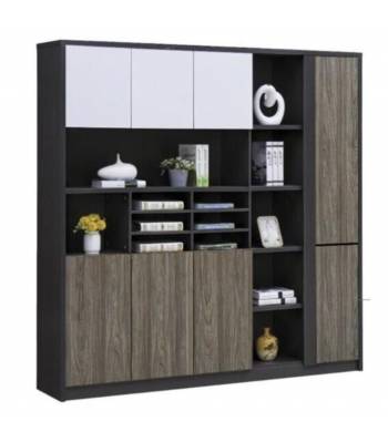 HC 006 Full Height Office Cabinet With Glass Door