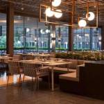 Dining Chairs