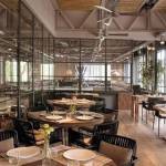 Dining Chairs