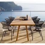 Dining Chairs
