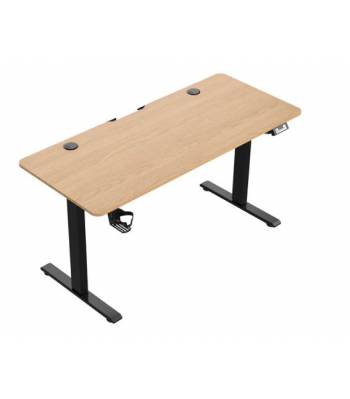 Single Person Single-Motor Workstation Electric Lifting Computer Table Heavy Duty, Standing Height Adjustable Standing Desk, Smart Ergonomic Desk for Home and Office