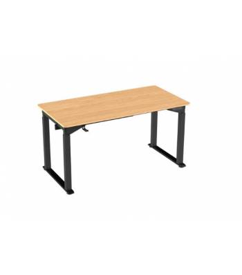 Single Person Dual-Motor Premium Electric Lifting Table Computer Table Heavy Duty, Standing Height Adjustable Standing Desk, Smart Ergonomic Desk for Home and Office