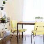 Dining Chairs